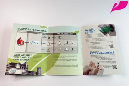 Brochure Design 0316