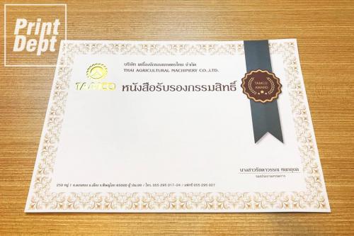 Certificate 0006