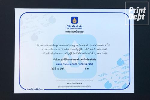 Certificate 0029