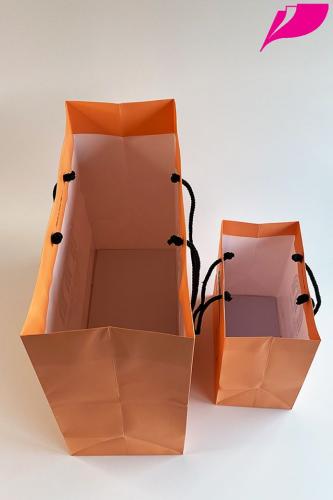 Paper Bag 0105